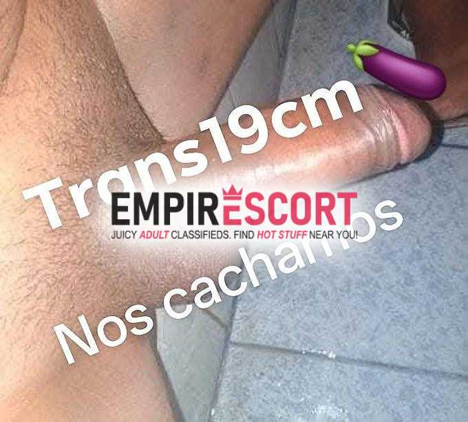 soy trans buena pija tengo nos cachamos ambos sii