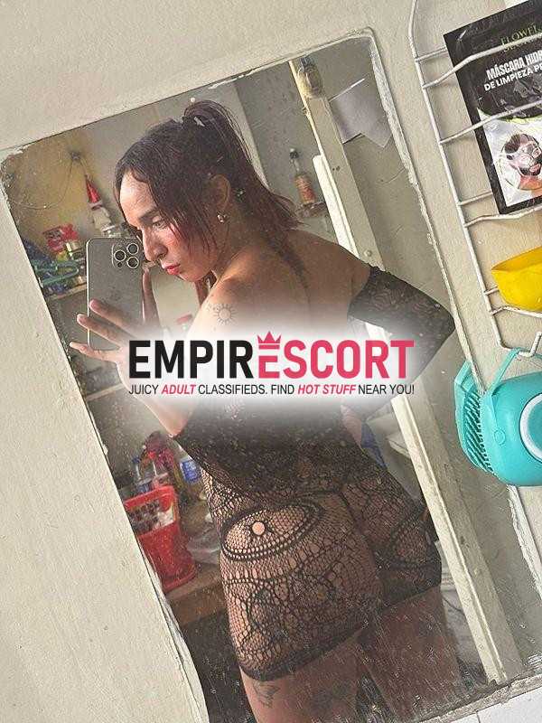 servicio solo por hoy disponible bien perra versátil