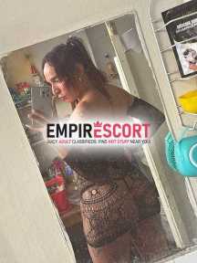 servicio solo por hoy disponible bien perra versátil