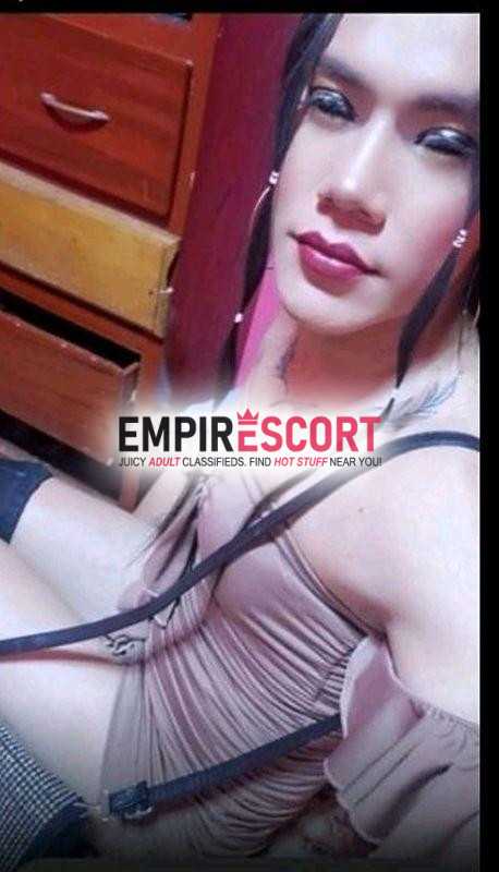 bebe trans activa full fiestera