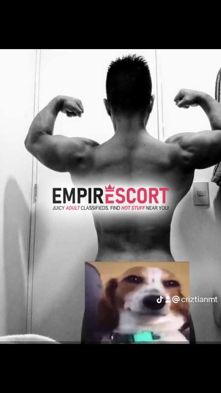 scort acompañante
sex