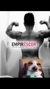 scort acompañante
sex