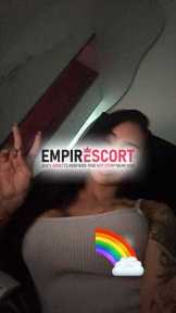 fiestera aguantadora disponible