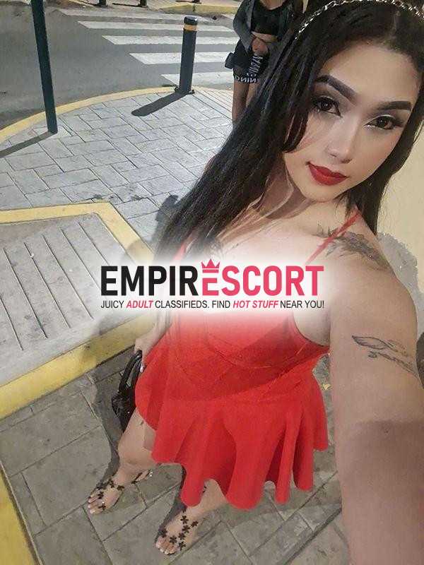 tu zorrita favorita